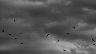 Thumbnail of post image 012